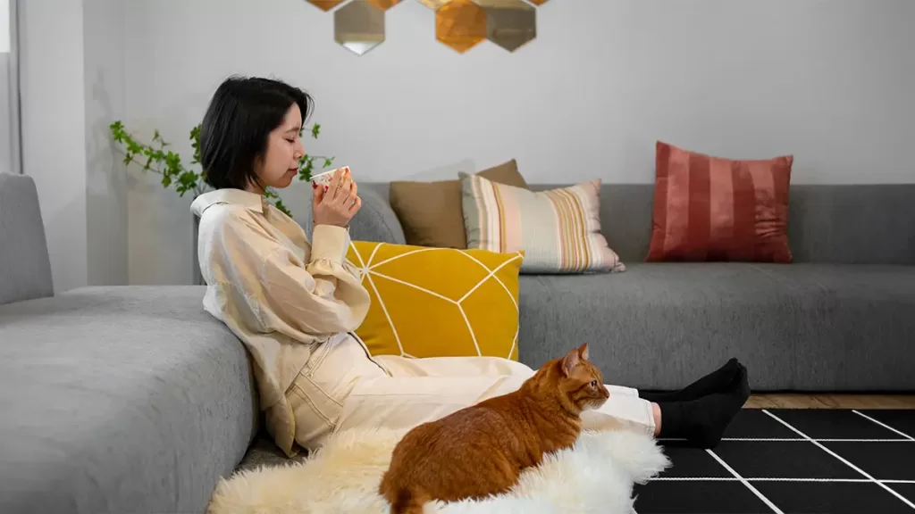 Pet friendly Interiors
