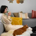 Pet friendly Interiors